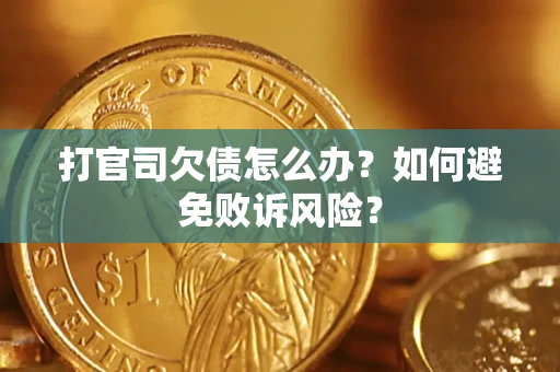 北京打官司欠债怎么办？如何避免败诉风险？