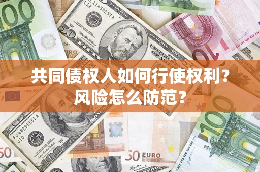 北京共同债权人如何行使权利？风险怎么防范？