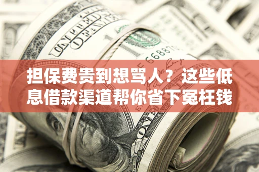 北京担保费贵到想骂人？这些低息借款渠道帮你省下冤枉钱