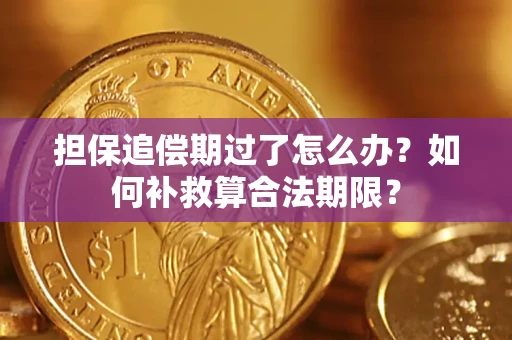 北京担保追偿期过了怎么办？如何补救算合法期限？