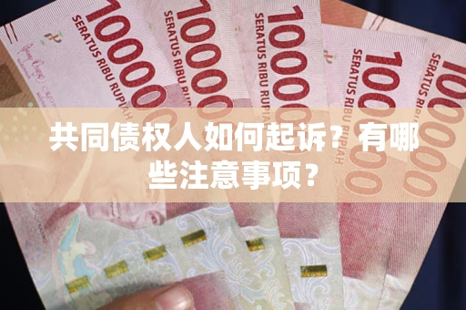 北京共同债权人如何起诉？有哪些注意事项？